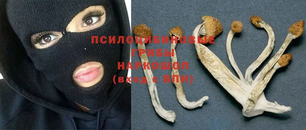 a pvp Михайловск
