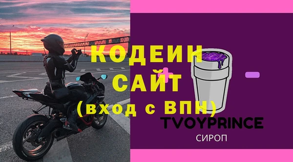 прущие грибы Заволжье