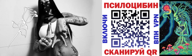 Галлюциногенные грибы Psilocybe  Новая Ляля 